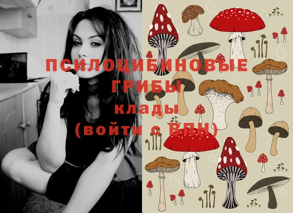 мдпв Абинск