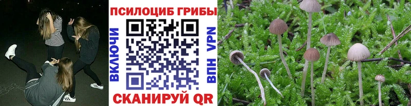 Псилоцибиновые грибы мухоморы  блэк спрут как войти  Котовск 